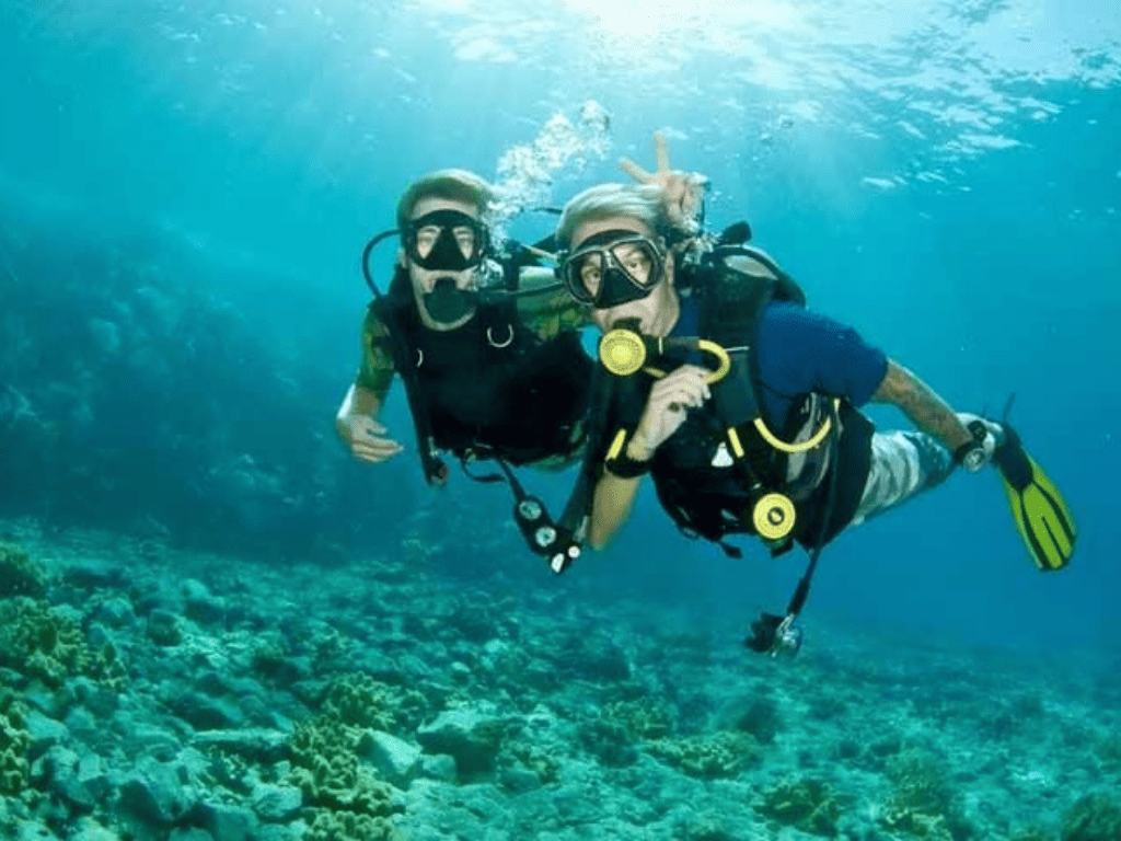 Island Packages - Collection Island Packages - Collection